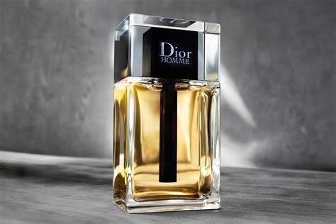 dior a/w 2020|Dior homme 2020 notes.